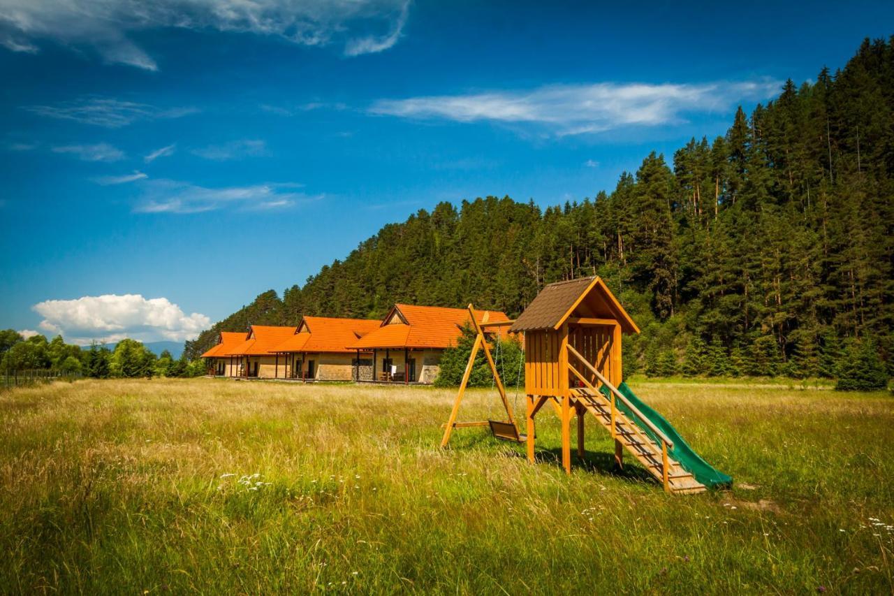 Pensiunea Sapte Flori Георгени Экстерьер фото