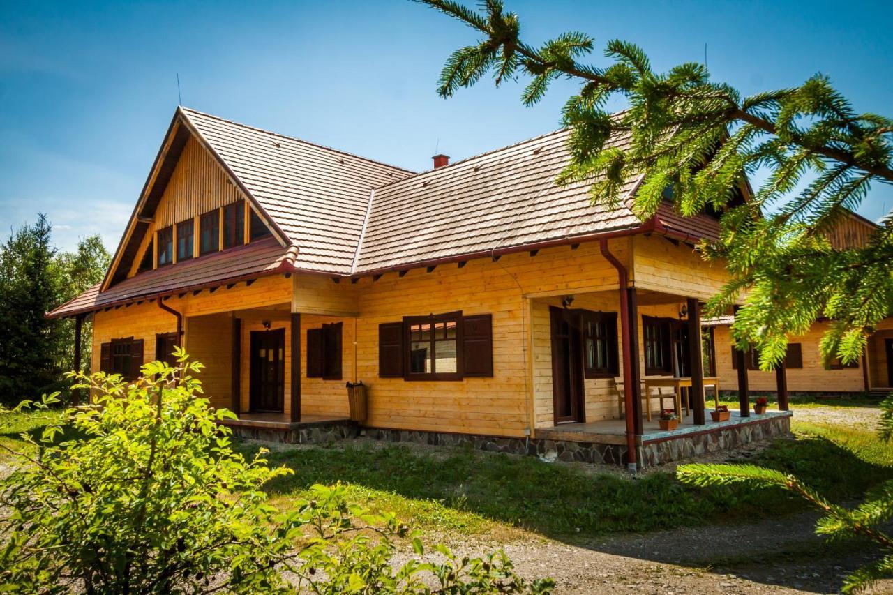 Pensiunea Sapte Flori Георгени Экстерьер фото