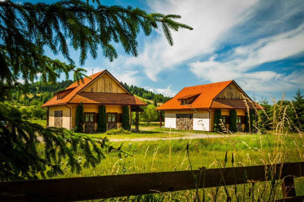 Pensiunea Sapte Flori Георгени Экстерьер фото