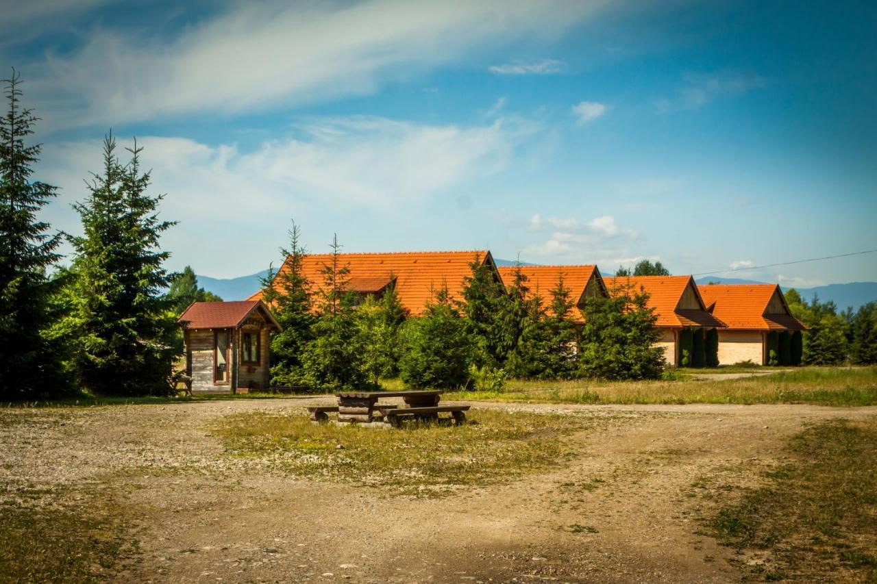 Pensiunea Sapte Flori Георгени Экстерьер фото